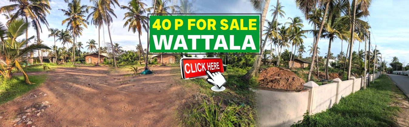 40 Perches Land for Sale in Uswetakeiyawa, Wattala.