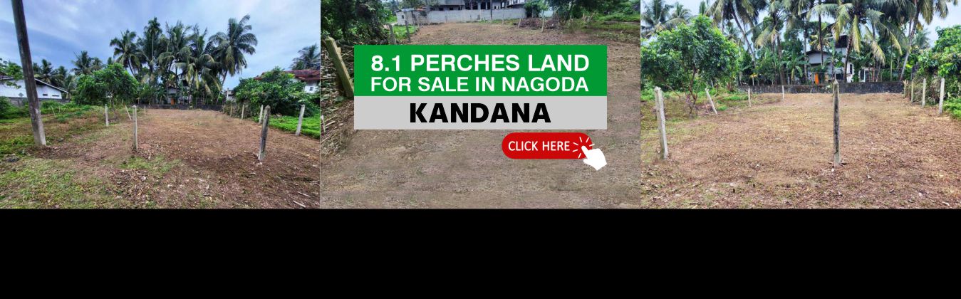 8.1 Perches Land for Sale at Nagoda, Kandana closed to Colombo – Negombo main Road.Nagoda junction – Kandana Highly residential area with walking distance to Colombo Negombo Main bus route. Close proximity to all conveniences such as national & international schools, supermarkets, government & private banks, and hospitals. Easy Access to Kandana railway Stations and Ja-Ela & Kerawalapitiya Expressway Entrance. Great neighborhood community.Ideal residential area with good neighborhood.
