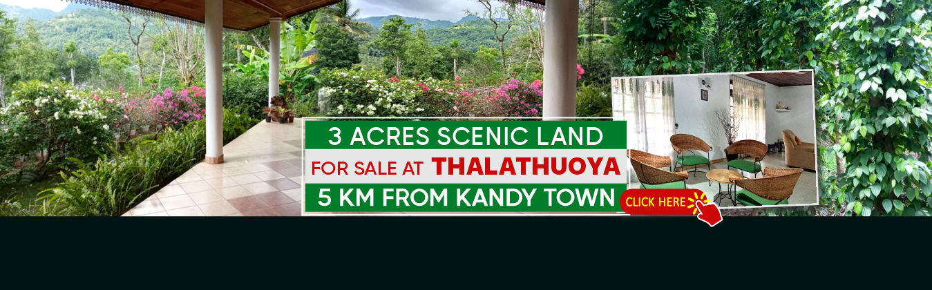 Land for Sale in Kandy.