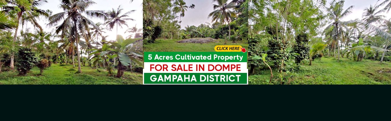 5 Acres Cultivated Land for Sale in Dompe, Gampaha District.